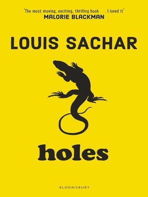 cover image of Holes
